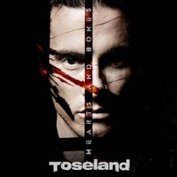 Toseland : Hearts and bones